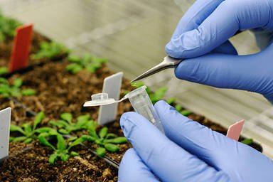/3121556-experiment.jpg